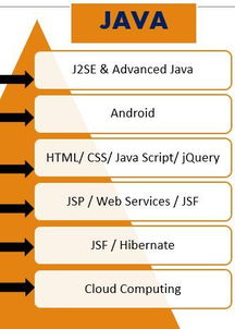 關(guān)于大學軟件工程 外包 分方向的問題